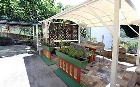 Dino Studio And Room Apartments