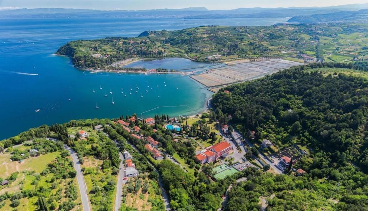 Dino Studio And Room Apartments Portorož Eksteriør bilde